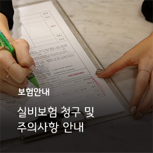 보험안내